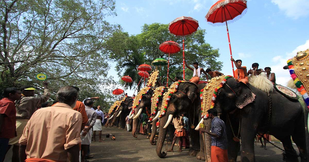 Kerala’s Biggest Temple Festival Thrissur Pooram To Take Place Without Public This Year