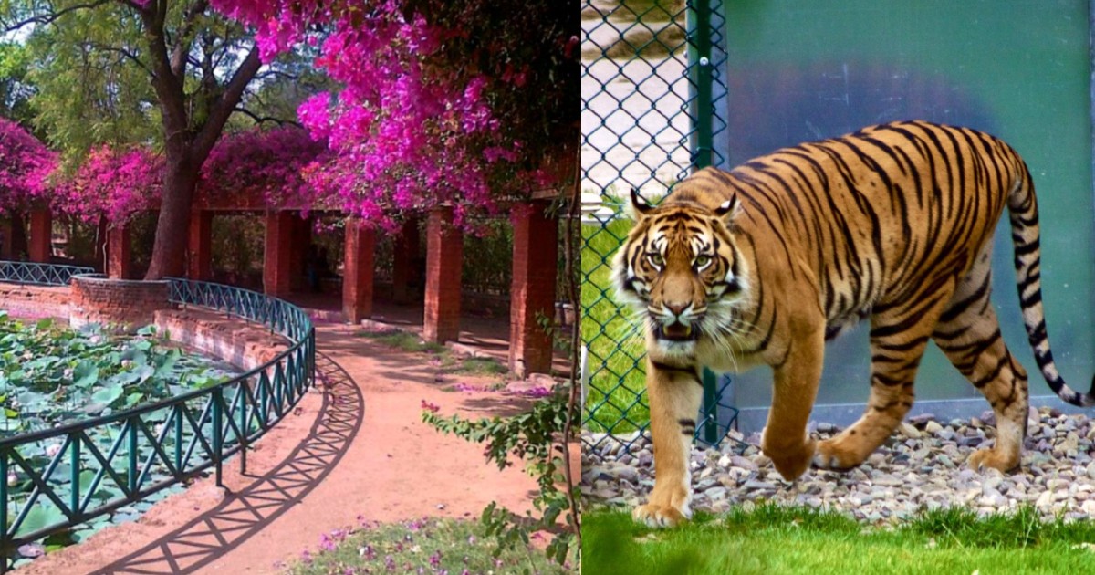 Ahmedabad Zoos, Lakes, Parks, Bus Services Closed Amid Rising Covid Cases In City