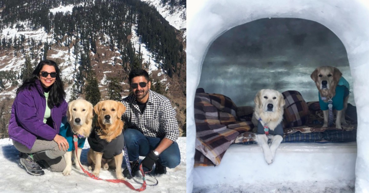 I Stayed In An Igloo In The Himalayas With My Dogs & Had The Best Trip In The Mountains