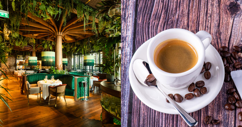 Amazon Jungle-Themed Cafe Is Now Open In Dubai’s Motor City