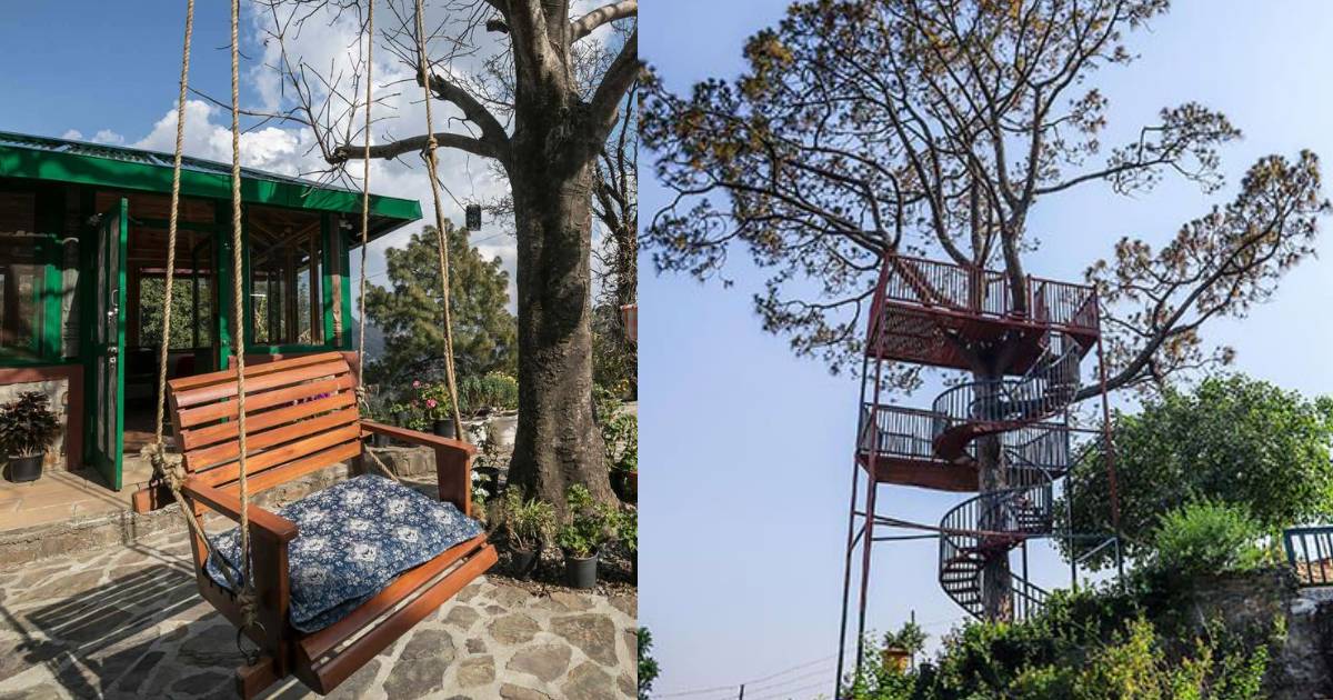 Hydrengea Room At Estate 15 In Nainital Has A Tree House Overlooking The Mountains & The City