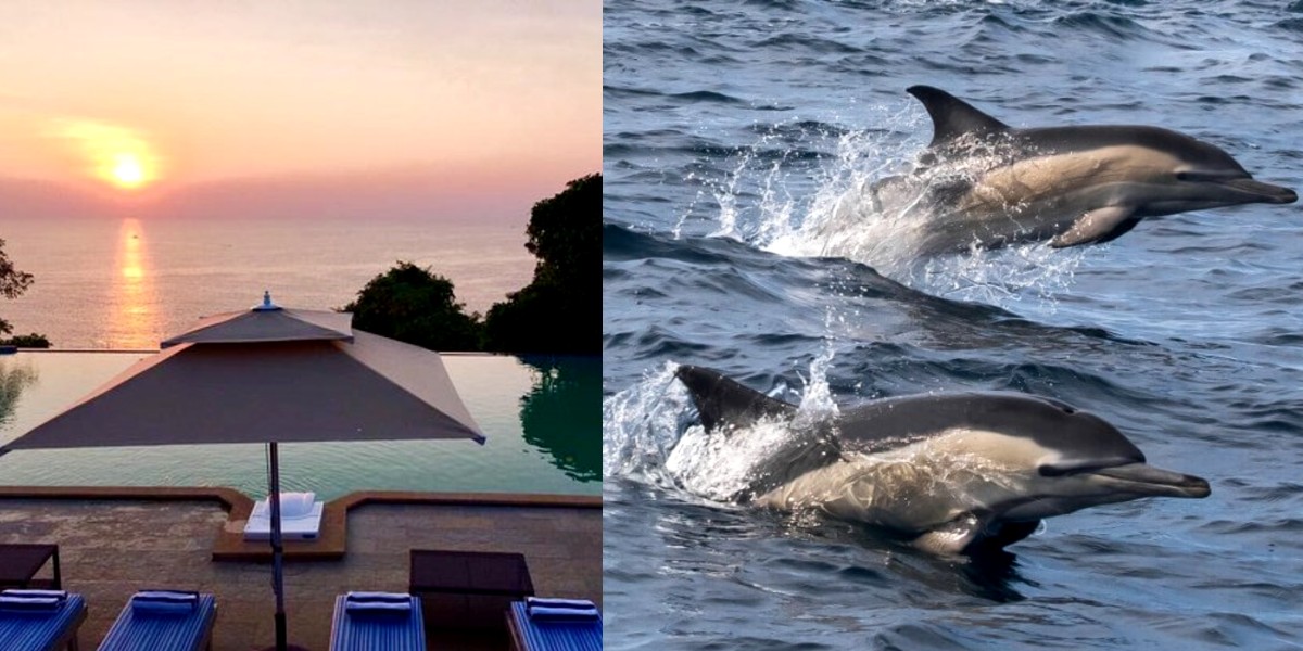 Cintacor Island Resort In Karnataka Will Let You Have A Socially-Distanced Date With Dolphins