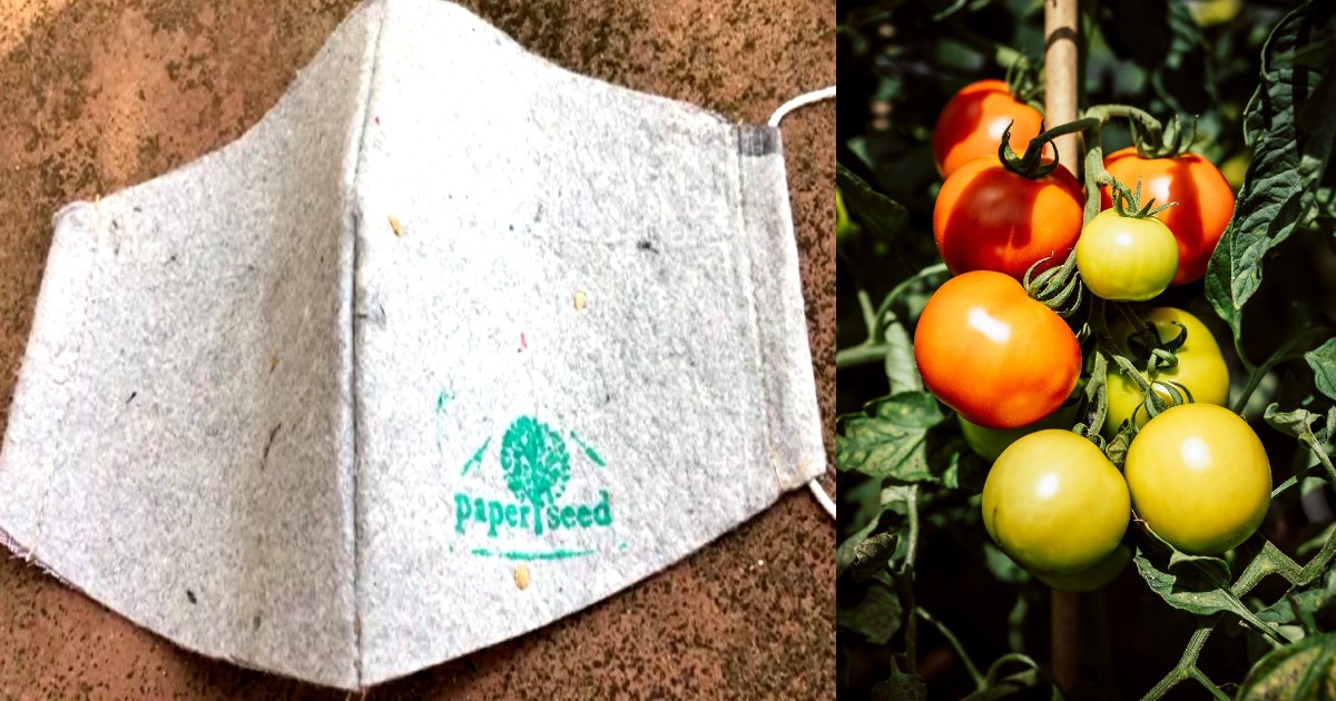 Eco-Friendly Masks That Contain Tomato & Basil Seeds, Grow Into Plants When Disposed