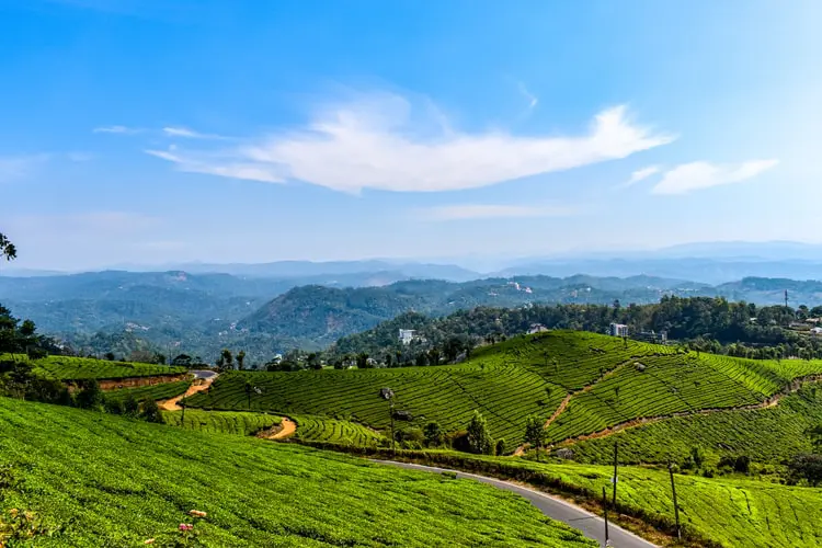 5 Insanely Beautiful Hill Stations In Kerala To Visit Instead Of The 5 Insanely Beautiful Hill Stations In Kerala To Visit Instead Of The