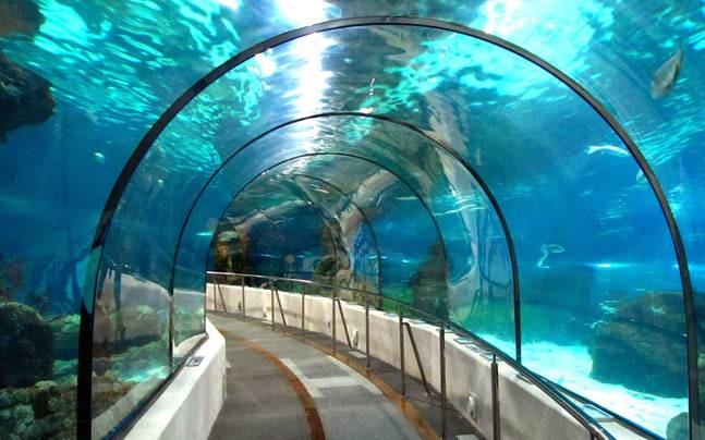 pune underwater tunnel