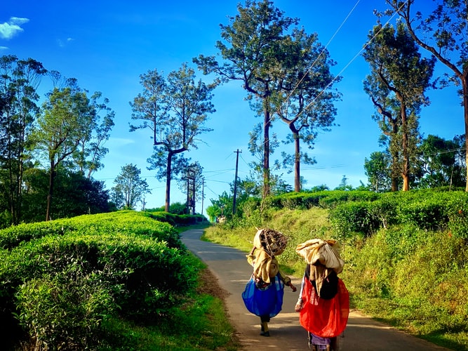 hill stations in kerala