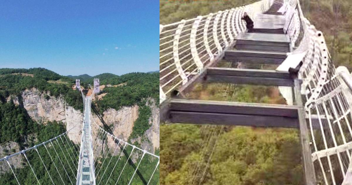 Tourist In China Left Clinging For Life After Strong Winds Shatter Glass Bridge