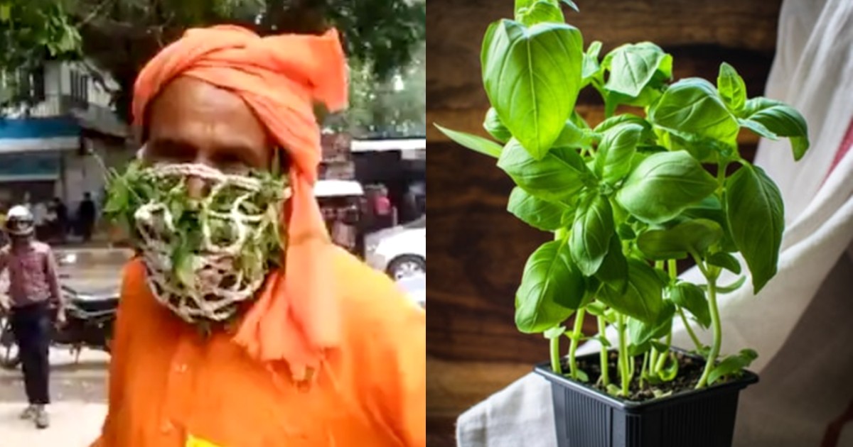 Natural Mask With Neem & Tulsi Leaves Goes Viral; Sadhu Claims It’s More Effective Than Surgical Or Cloth Mask