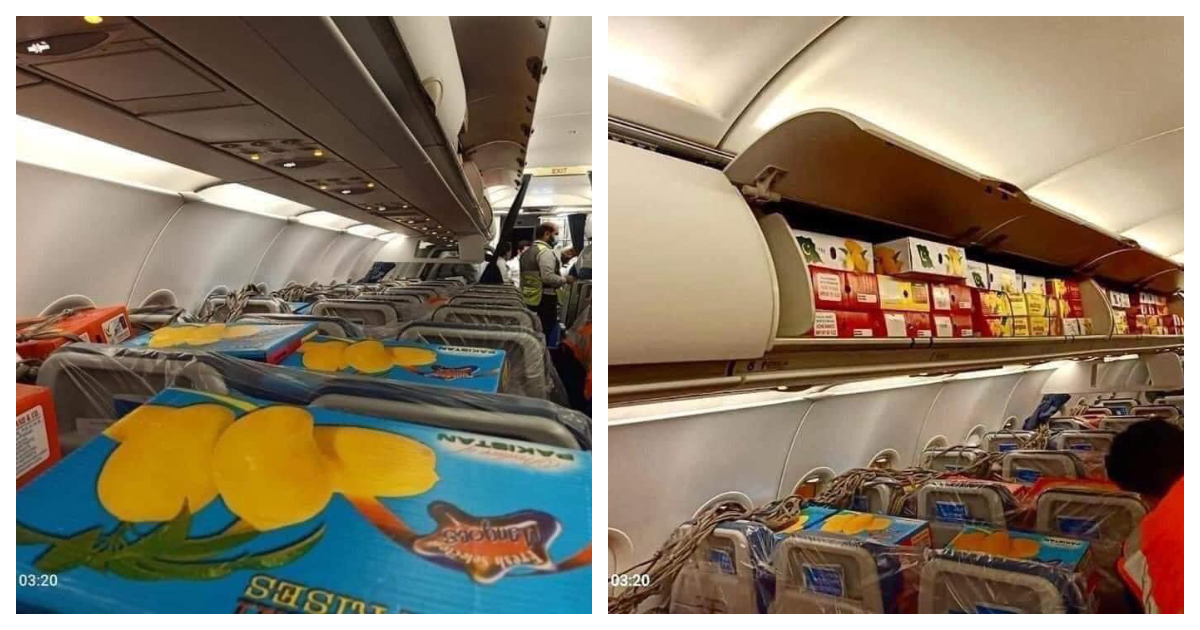 Boxes Of Mangoes Fill Up An Empty Passenger Flight From Pakistan To Dubai