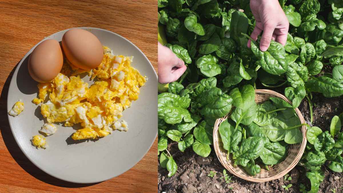 10 Zinc & Vitamin-Rich Food Items To Build Your Immunity This Year