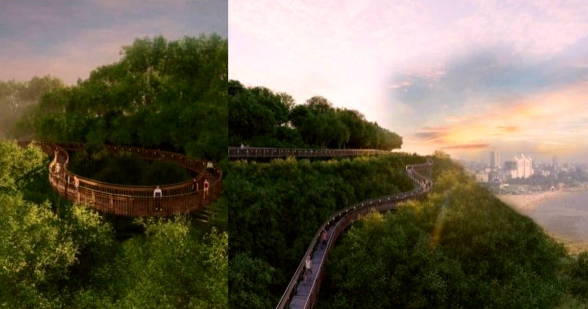 Mumbai To Get First Treetop Walkway In Malabar Hill With An Unhindered View Of The Sea