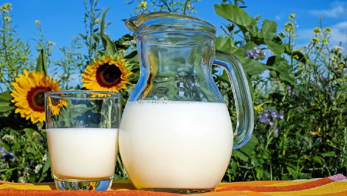 These 6 Brands Deliver Pesticide-Free Milk Across India Directly From Their Farms