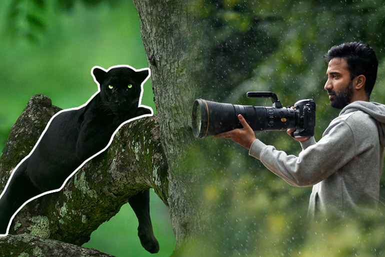 Wildlife Photographer Mithun Shares His Encounter With The Black Panther At Kabini | Travel Tales Ep 23 | Curly Tales