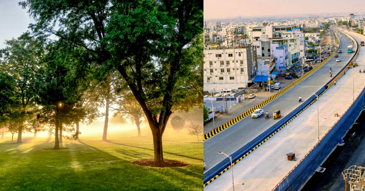 Hyderabad To Get Stunning Oxygen Park With 38 Types Of Plants Under LB Nagar Flyover