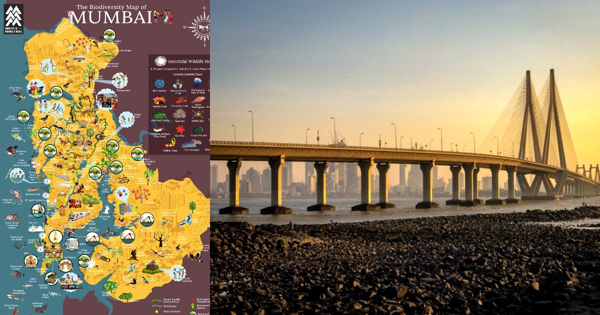 Mumbai Launches Interactive Biodiversity Map To Help You Reach The Green Spots