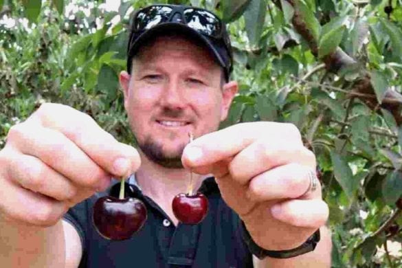 cherry 33 men