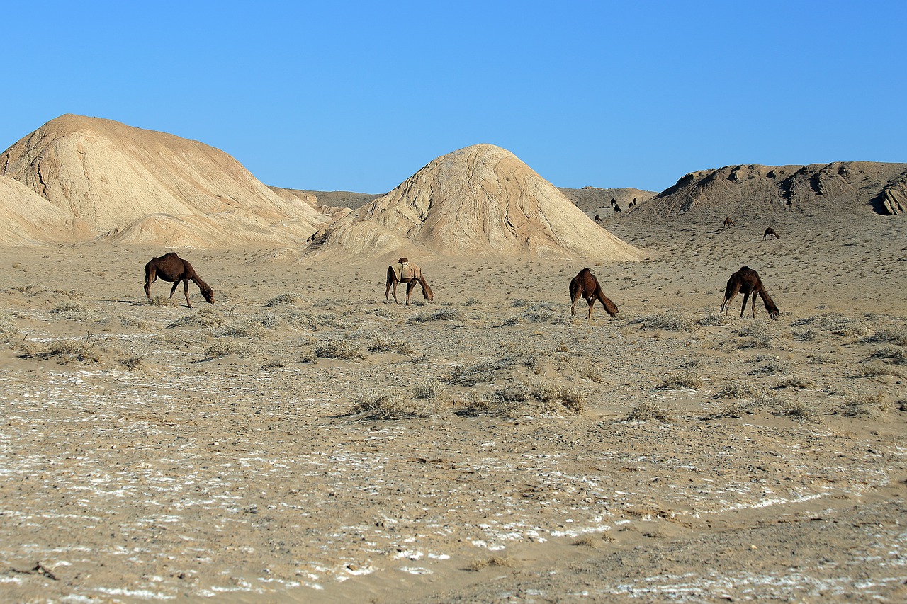 hottest places in the world