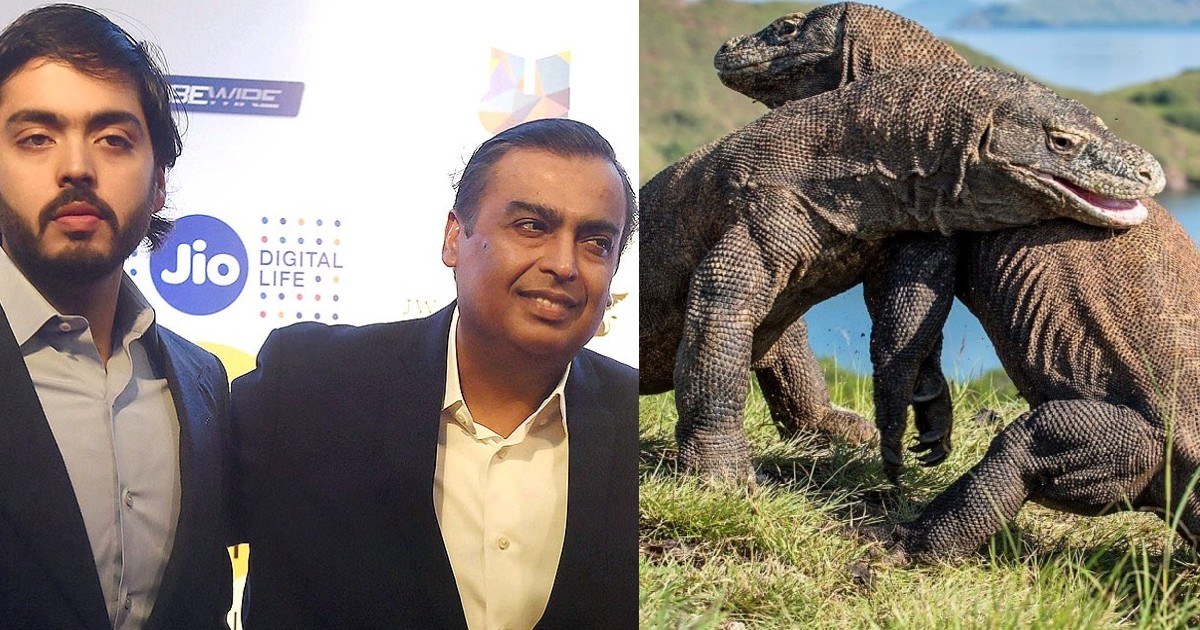 Ambanis To Soon Launch World's Largest Zoo In India That Will Be Home To  The Last Dragons