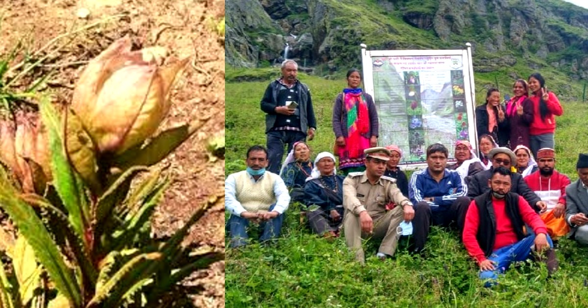 India’s Highest Herbal Park At 11,000 Feet Altitude Inaugurated In Uttarakhand