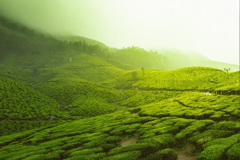 Kerala Agriculture Tourism