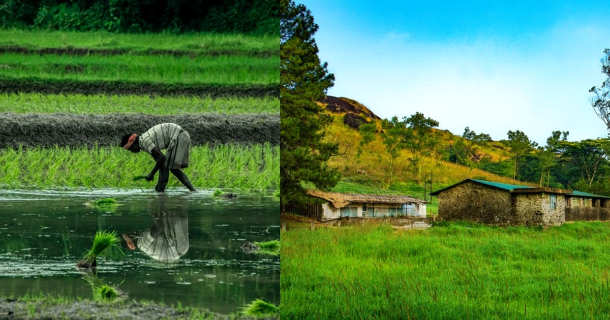 Kerala’s New Agriculture Tourism Network Will Let You Stay In 5000 Gorgeous Homestay Farms
