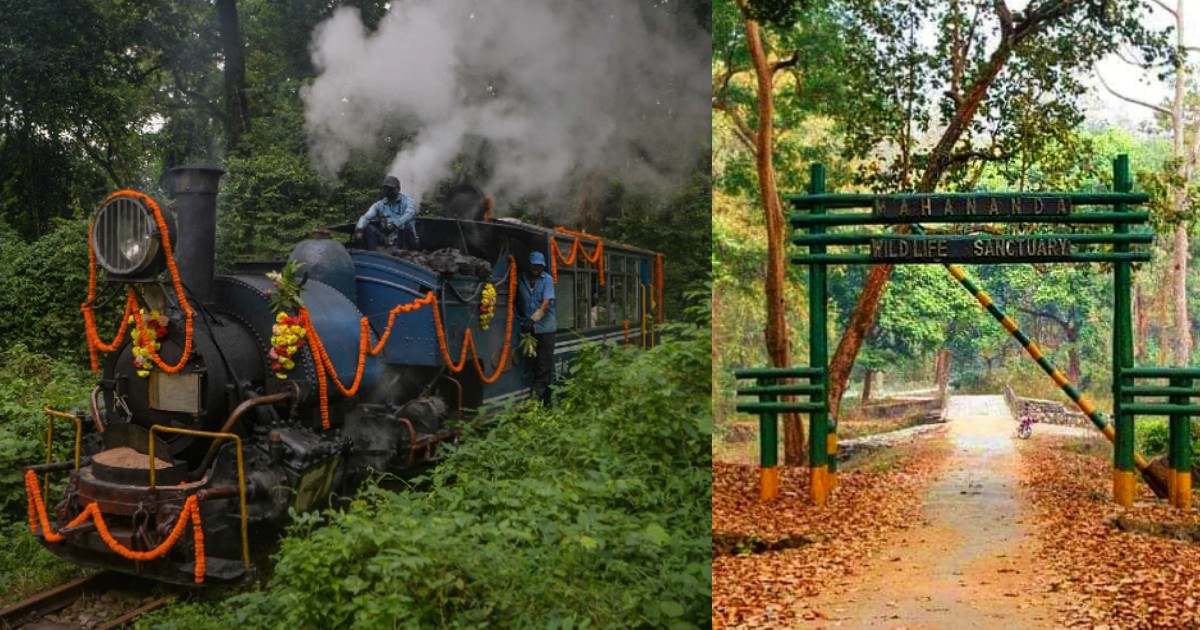 Indian Railways Launches Jungle Tea Toy Train On Darjeeling Himalayan Route