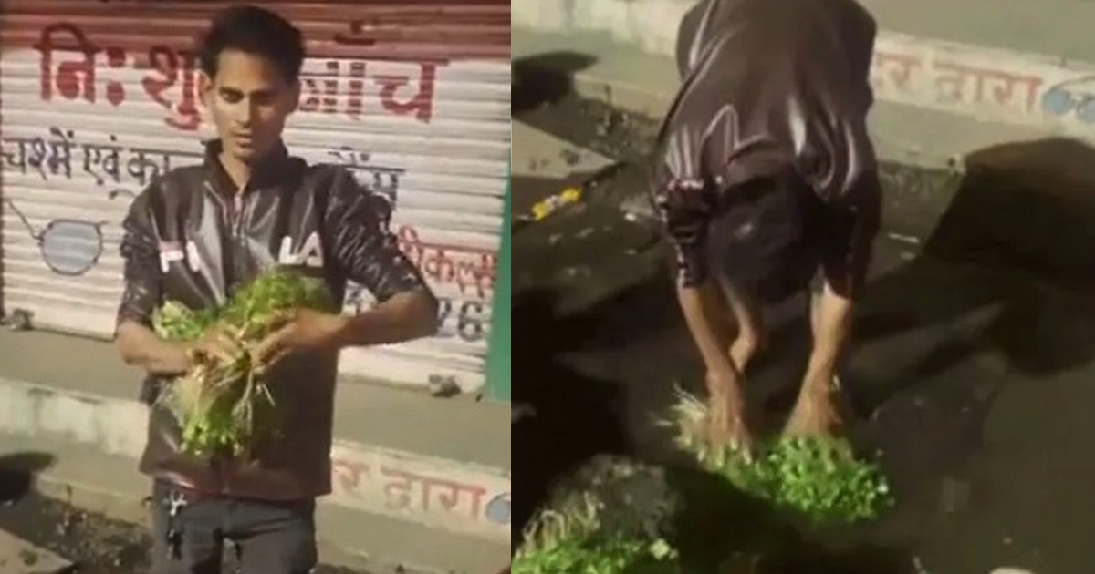 Bhopal Vegetable Vendor Washing Coriander In Drain Water