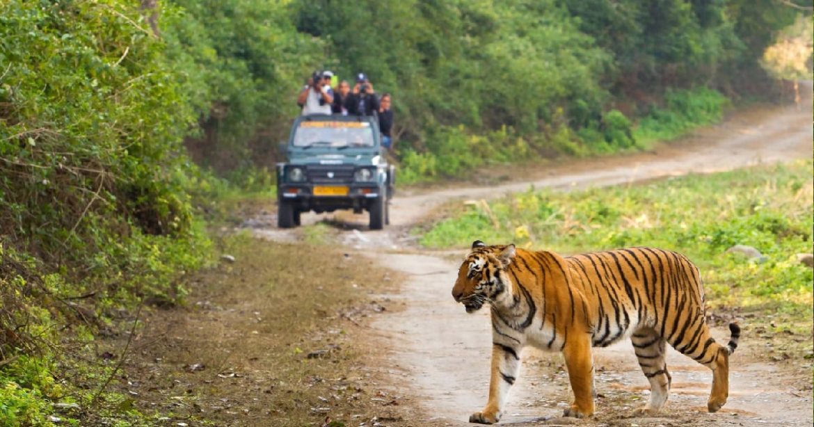 Jim Corbett National Park Opens Bijrani Zone For Night Stay And Jungle Safari
