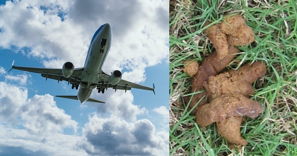 Plane Dumps ‘Poo’ On Man’s Head Accidentally In A ‘One In A Billion’ Incident