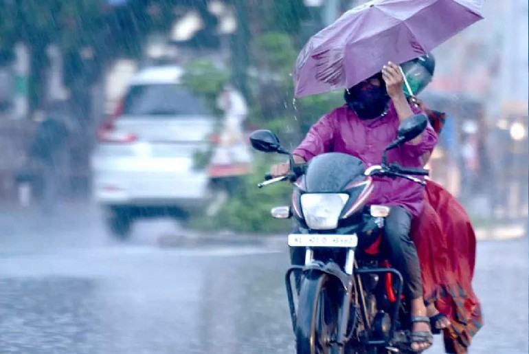 Kerala Umbrella Fined