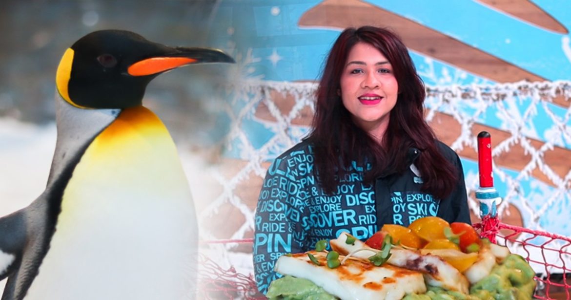 Breakfast with penguins