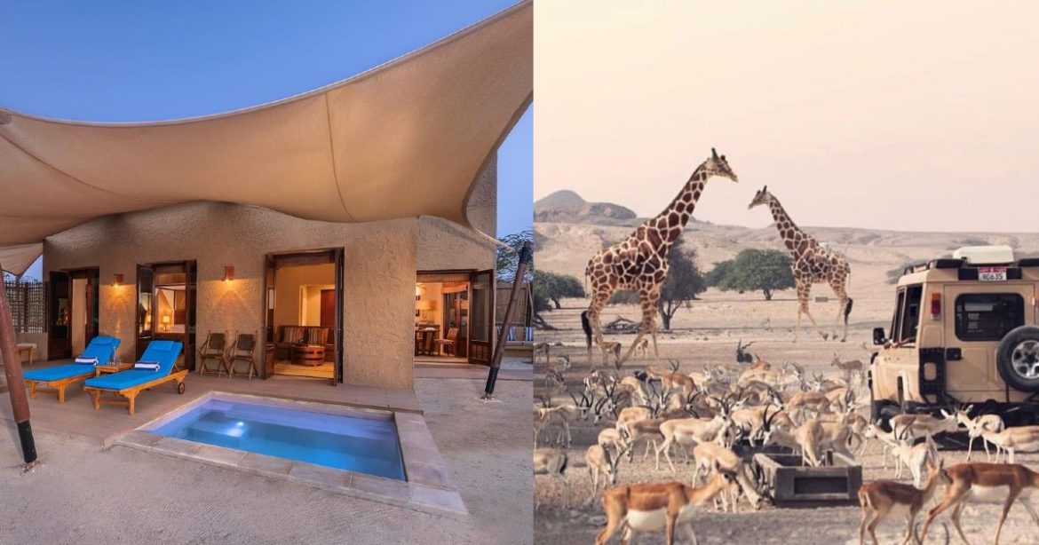 Abu Dhabi Has A Fortress-Style Hotel Overlooking The Arabian Gulf &  Free-Roaming Animals