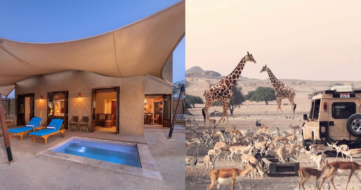 Abu Dhabi Has A Fortress-Style Hotel Overlooking The Arabian Gulf & Free-Roaming Animals