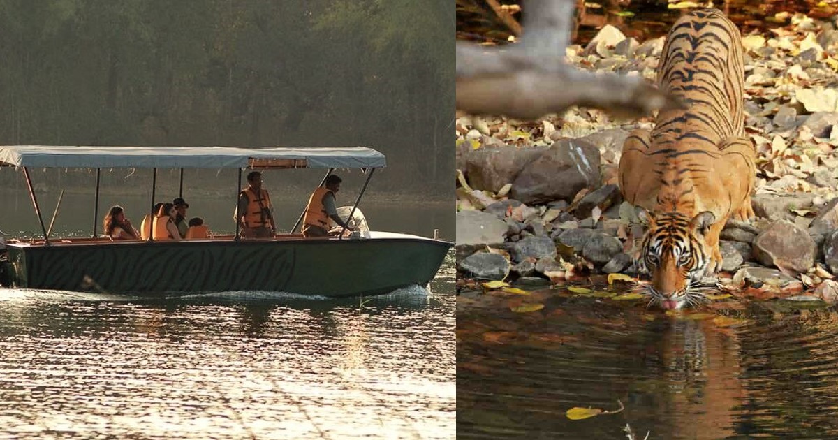 Go On  A Water Safaris & Spot Wildlife In These 5 National Parks & Sanctuaries In India