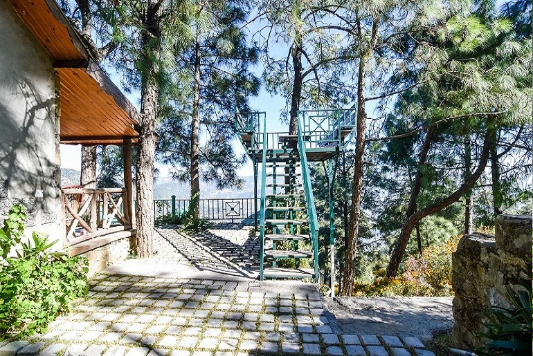 Nature Stay Kasauli