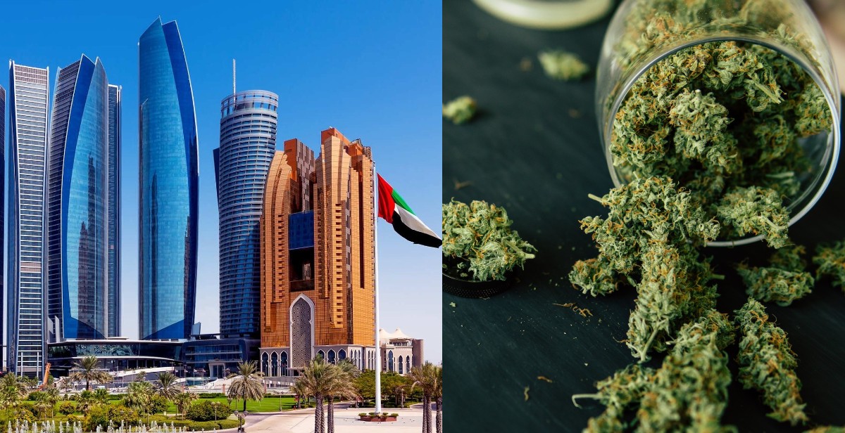 Travellers Bringing In Cannabis Shall No Longer Serve Jail Sentence In The UAE
