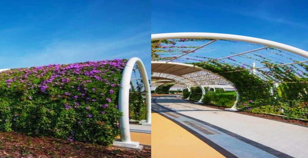 Qatar Gets First-Ever Air Conditioned Jogging Track At Al Gharrafa Park