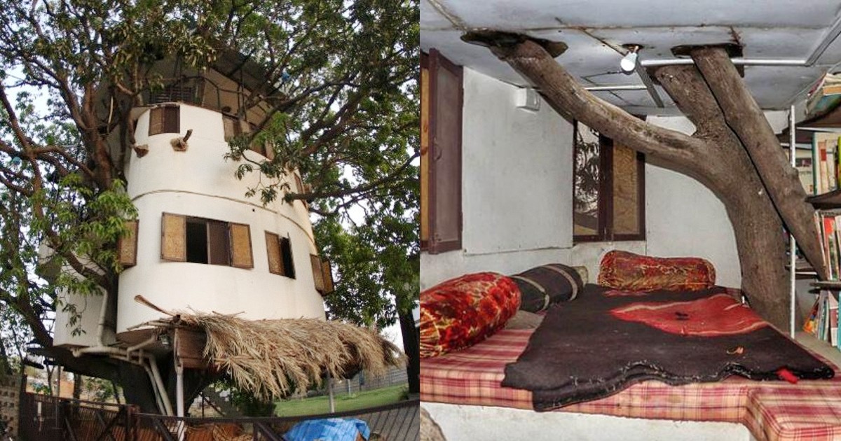 This 4-Storey House Atop A 40 Feet High Mango Tree Is Udaipur’s Latest Attraction