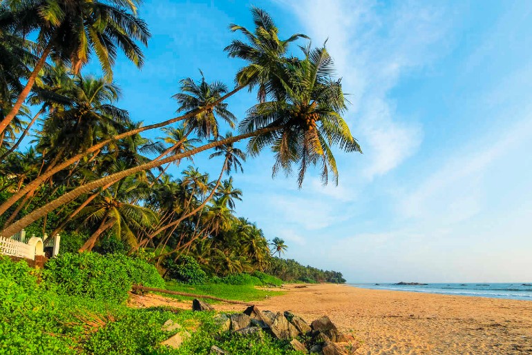 5 Beautiful Places In Kerala You Must Visit In 2022