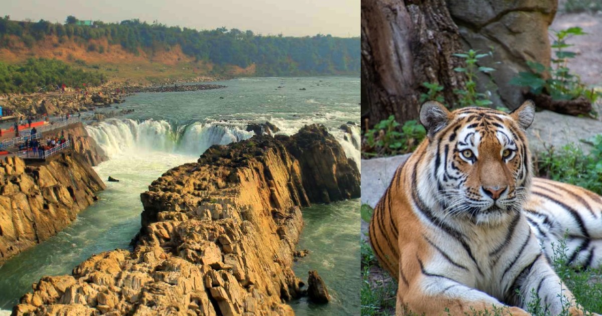 IRCTC Launches 3 Nights 4 Days Package To The Jungles Of Madhya Pradesh At ₹4490/Person