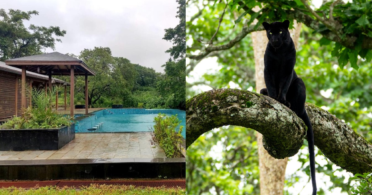 This Goa Resort With Open Air Hot Tub Lies Amid A Forest Inhibited By Black Panthers