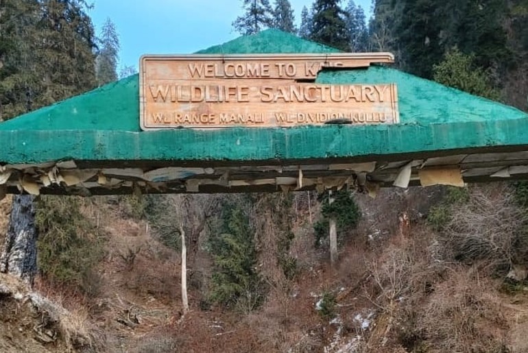 Himachal Adventure Kais Wildlife Sanctuary