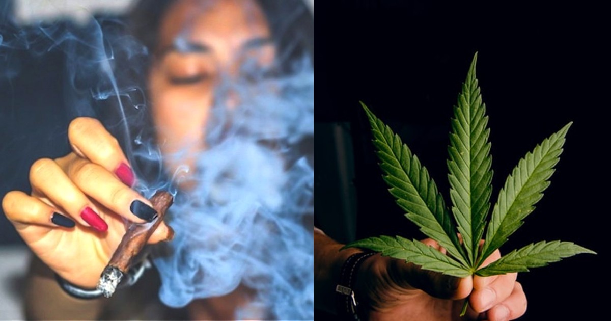 Can Smoking Up Prevent COVID? Scientists Say Cannabis Has Virus Neutalising Properties