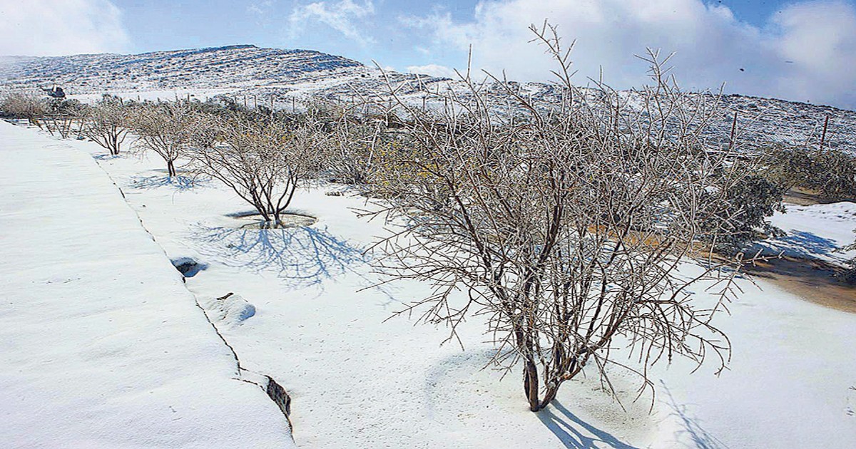 Sheaths Of Ice Form In UAE’s Highest Mountain As Temperature Drops Subsequently