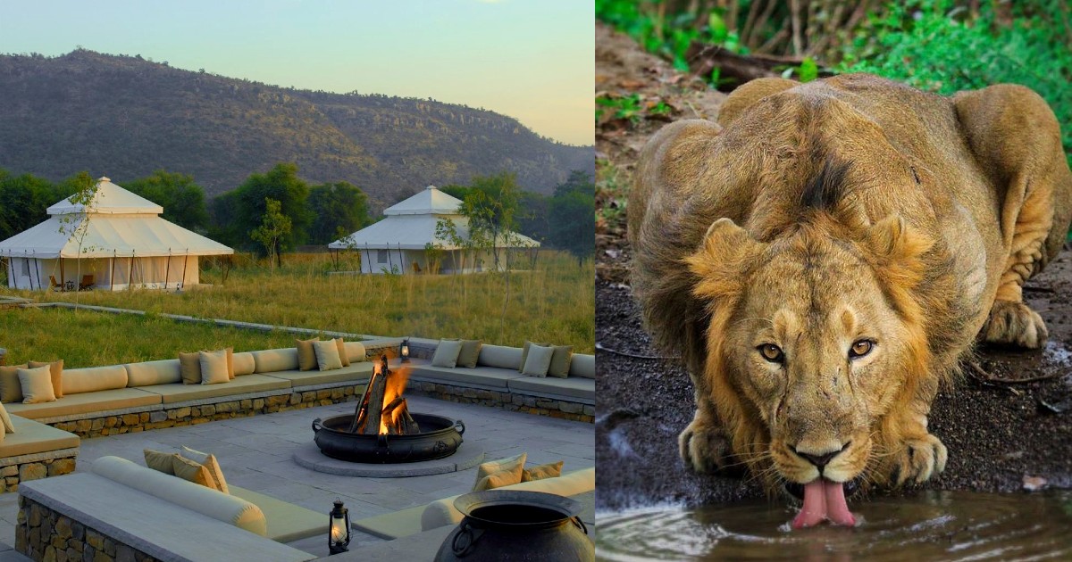 Wildlife Resorts India