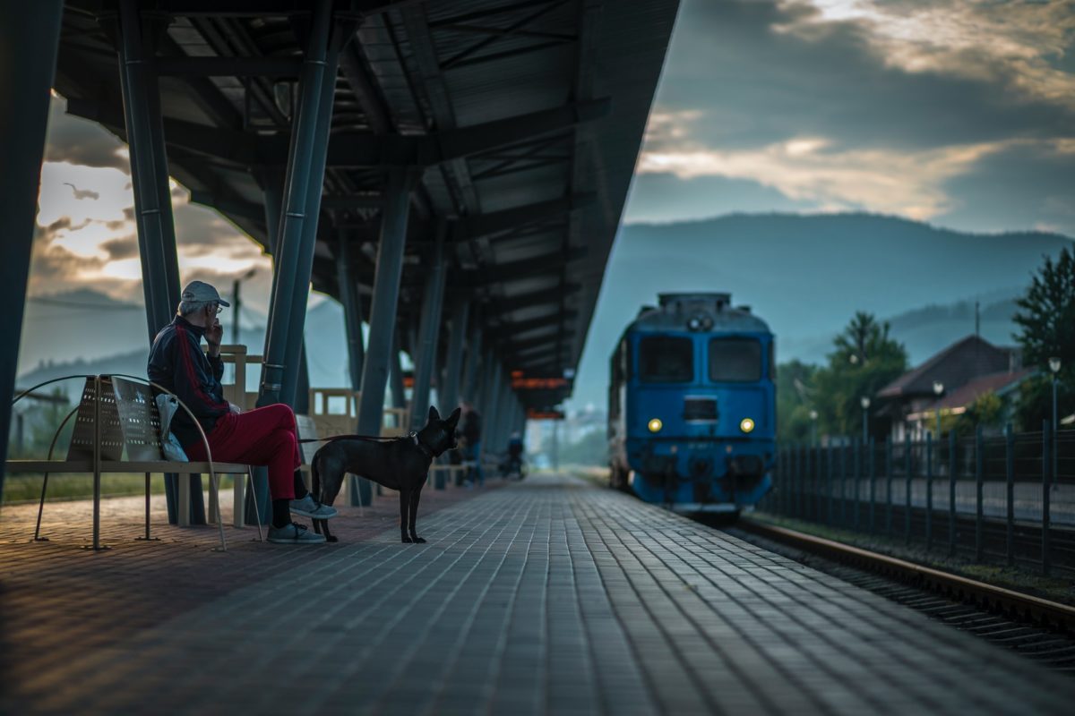 Your Perfect Guide To Travel In Train With Your Pet