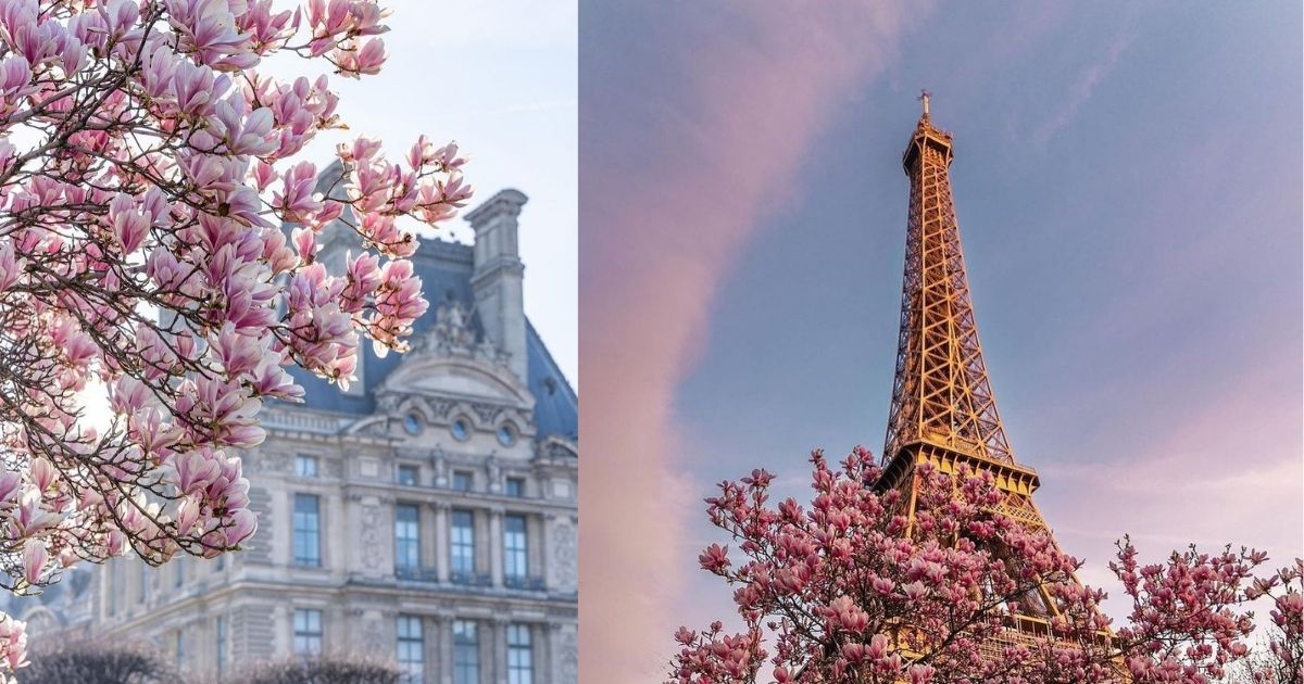 5 Common Mistakes To Avoid On Your First Trip To Paris