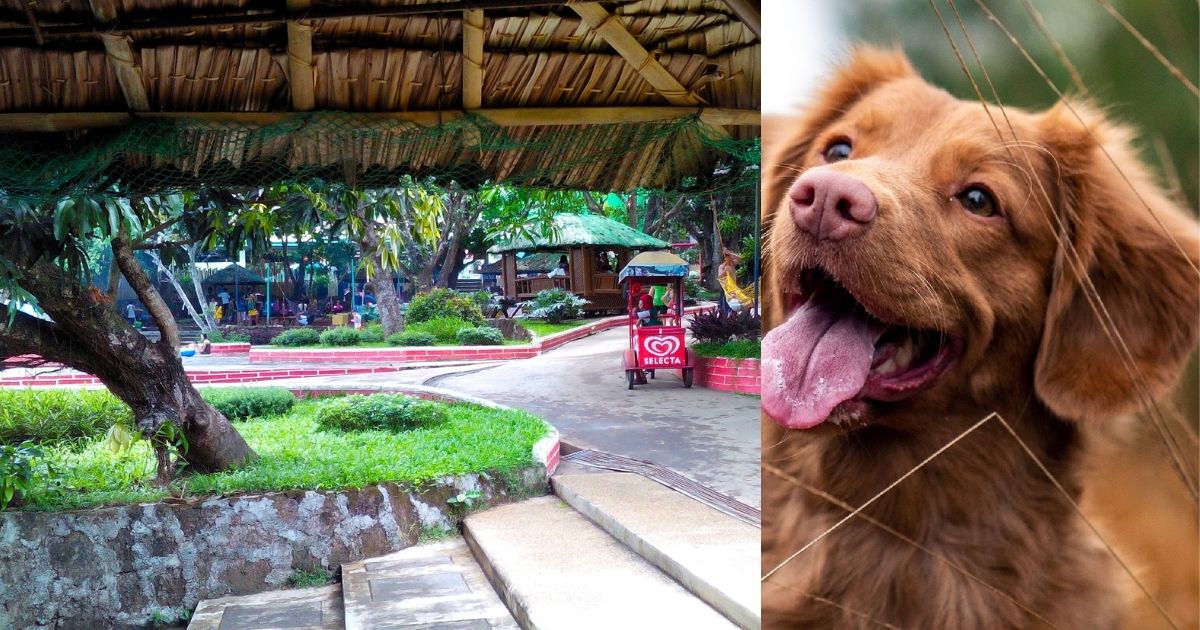 This Hotel Mussorie Lets You Check-In Only If You’re Accompanied By Your Dog