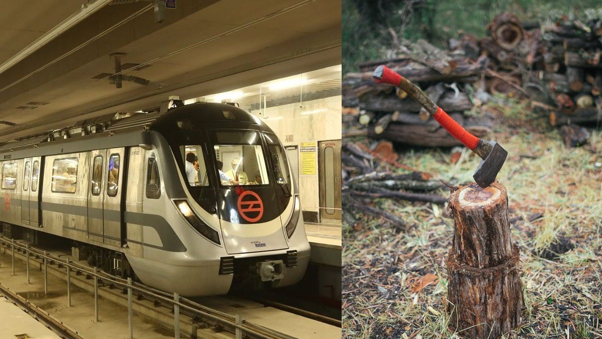 Delhi Metro To Remove Over 3000 Trees For Construction Of New Project ...