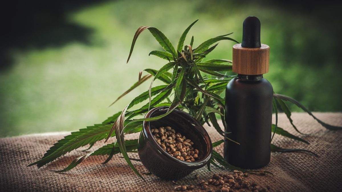 Kerala Gets Asia’s First Ayurvedic Cannabis Wellness Retreat